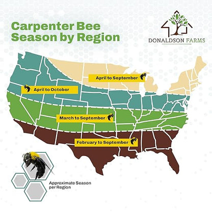 All-Natural Foaming Bee Spray Killer Outdoor - Carpenter Insect Bee Spray Killer - Reliable Defense for All Kinds of Insects, 16 oz