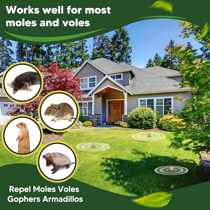 Mole Repellent Outdoor, Gopher Repellents, Vole Repellent for Lawn, Natural Groundhog Repellent, Safe for People & Pets, Mole Repellent for Lawn and Garden, 3 Months Protection -8P