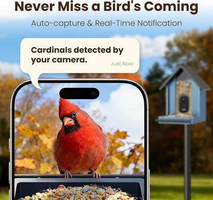 Metal Smart Bird Feeder with Camera, 2.5K UHD Bird Camera AI Identifies 11,000+ Bird's Species, Real-time Bird's Videos & Pictures, Solar Powered Wireless Outdoor, Ideal Gift
