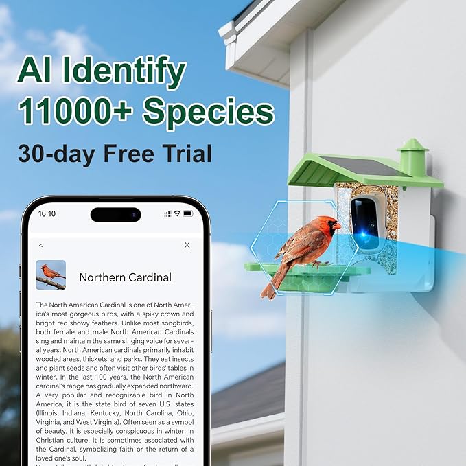 Smart Bird Feeder with Camera, AI Identify & Auto Capture, 2K HD Live Video Bird House with Camera, Instant Arrival Alerts, Cloud Storage Videos, Ideal Gift for Bird Lovers