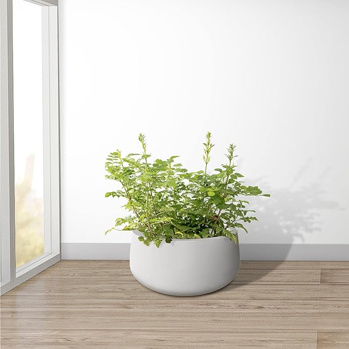 Kante 15.7" Dia Round Concrete Planter, Outdoor Indoor Garden Plant Pots with Drainage Hole and Rubber Plug, Modern Curvaceous Design, Pure White