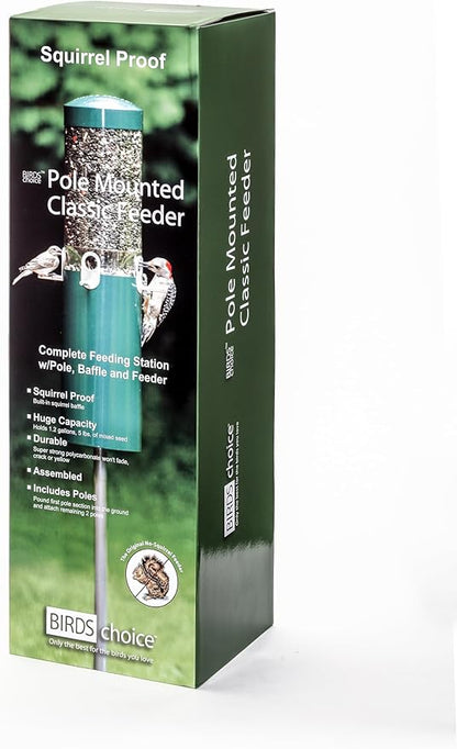 Birds Choice Classic Squirrel Proof Bird Feeder with Pole Mount | Tube Bird Feeder for Cardinals, Chickadees, Woodpeckers | Sturdy Steel for Long-Lasting Use | Backyard Birdseed Dispenser | Green