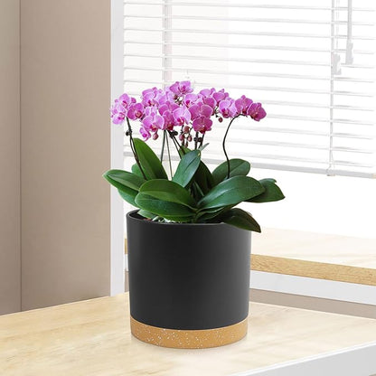 5 Pack Cylindrical Flower Pots with 7/6.5/6/5/4 inch, Modern Small Plastic Plant Pots with Drainage Holes & Saucers, Round Planter Pots for Outdoor, Indoor & Office Decor (Black Brown)