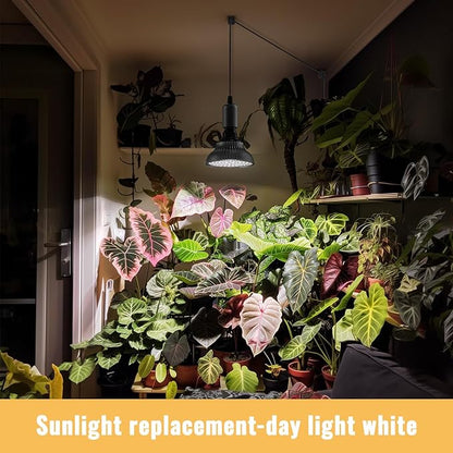 Hanging Grow Lights for Indoor Plants, 25W 5000K, LED Hanging Grow Light with Timer, Height Adjustable Hanging Plant Light, Full Spectrum Pendant Grow Light for Seed Starting, Black
