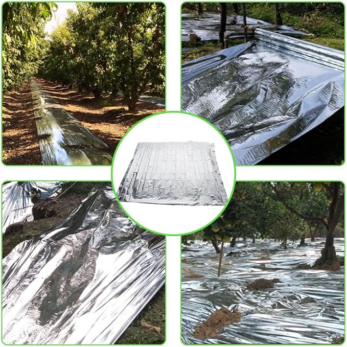 High Silver Reflective Mylar Film, Plant Reflective Film Mylar Sheet Greenhouse Covering Foil Sheets Increase Plant Growth for Outdoor Indoor Grow Room Farming Camping Reduce Uneven Heat