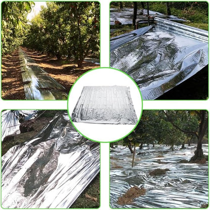 High Silver Reflective Mylar Film, Plant Reflective Film Mylar Sheet Greenhouse Covering Foil Sheets Increase Plant Growth for Outdoor Indoor Grow Room Farming Camping Reduce Uneven Heat