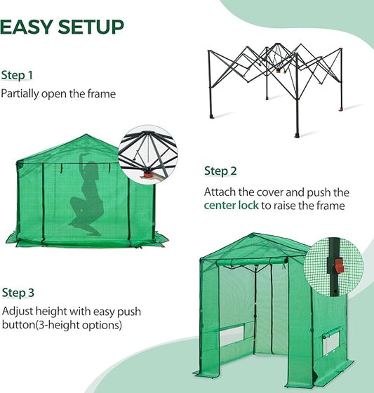 6x6 Pop Up Walk-in Greenhouse, Indoor & Outdoor PE Cover Green House w/ Power Access Ports, Roll-up Zippered Doors and Windows, Green