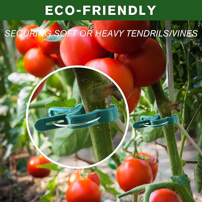 Plant Clips for Climbing Plants, Tomato Clips and Garden Clips for Vine Support, Plant Support Clips for Tomatoes and Garden use(Green, 60 Big)