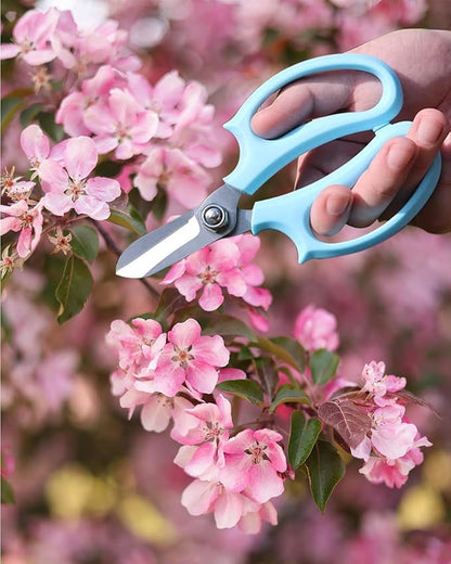 Flower Scissors - Stainless Steel Floral Scissors, Florist Cutters for Stems, Garden Plant Shears for Fresh Flowers (Blue, Pink) (2 PCS)