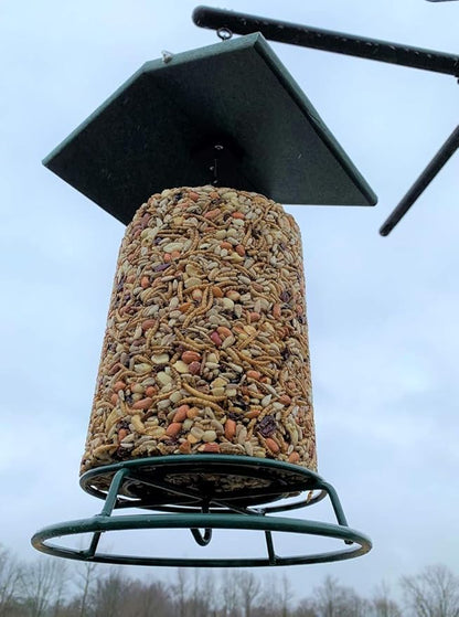 JCs Wildlife Poly Weather Cover - Rain Guard - Hang Bird Feeder or House Underneath for Protection from Rain or Snow - Easy to Clean and Use (Medium, Green)