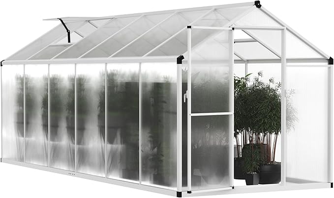 BlueWish 6x12FT Greenhouse for Outdoors, Aluminum Heavy Duty Greenhouse Kit with Lockable Door, 4MM Thickness Polycarbonate, Upgraded Rivet Structure Walk-in Green House for Garden, White