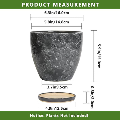 6 Inch Plant Pot - Ceramic Planter for Indoor with Drainage Hole and Saucer, Round Succulent Pot, Modern Flower Planters, Home Room Garden Office Decor, Gardening Gifts for Women, Grey