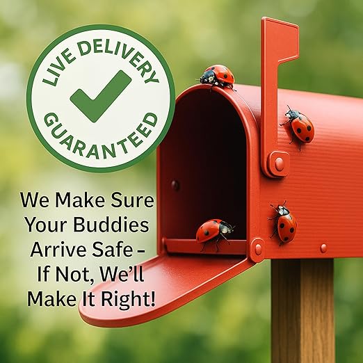 3,000 Live Ladybugs – Natural Aphid Control | Pre-Fed Hippodamia Convergens | Guaranteed Live Arrival