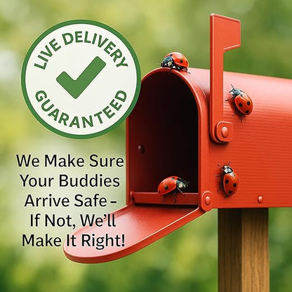 3,000 Live Ladybugs – Natural Aphid Control | Pre-Fed Hippodamia Convergens | Guaranteed Live Arrival
