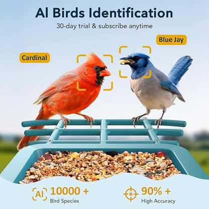 PeckCam® Bird Feeder with Camera Solar Powered, AI Identify & Auto Capture, 2K HD Live Video Smart Bird Feeder Camera Instant Notifications in Backyard, Gift for Bird Lovers