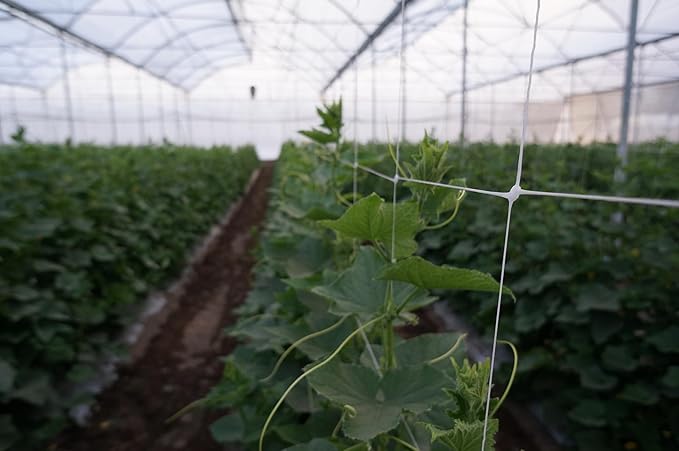 5ft by 4920-Feet Professional Grade Vegetable Support Trellis Netting Roll/Scrog Net Roll, (59" x 4920' / 1.5m x 1500m) (mesh 5.9"x6.7" / 15cm x 17cm)