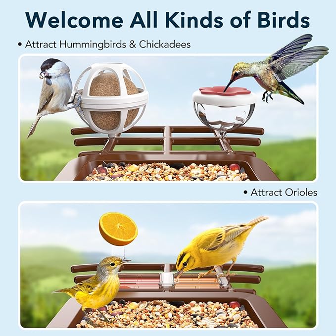 PeckCam® Bird Feeder with Camera Solar Powered, AI Identify & Auto Capture, 2K HD Live Video Smart Bird Feeder Camera Instant Notifications in Backyard, Gift for Bird Lovers