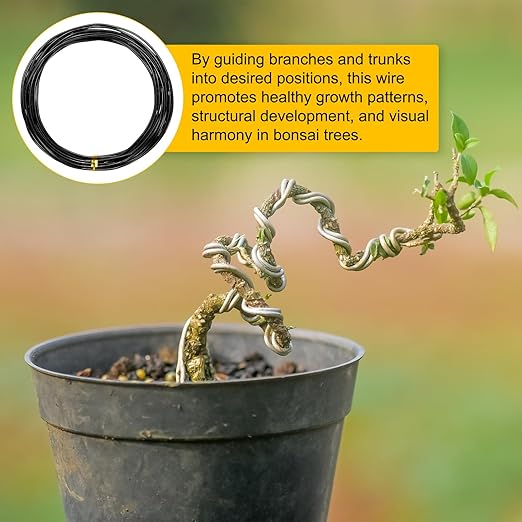 2-Rolls 1.5mm Bonsai Training Wire, 32.8 Feet Total Anodized Aluminum Bonsai Wires for Bonsai Tree Shaping/Branches Fixing/Trunk Holding/DIY Crafting [16.4ft Each, Black]