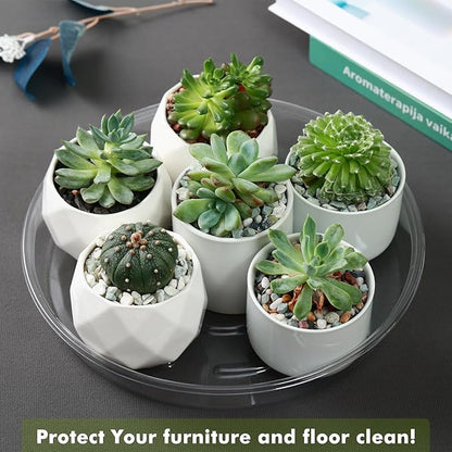 Saucer 30 Pack Plant Trays for Pots 10 Inch Plastic for Outdoors and Indoors Clear Drip Trays for Potted Plants Flower Pot Plates to Catch Water Drainage Dishes No Holes