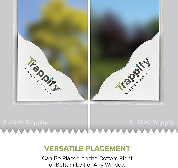 Trappify Fly Trap Indoor: Window Fly Traps for Home | Fruit Fly Traps for Indoors, Gnat Traps for House Indoor | Disposable Fly Trap with Sticky Adhesive Strips | Inside Bug Catchers (12 Pack)