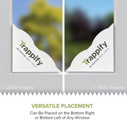 Trappify Fly Trap Indoor: Window Fly Traps for Home | Fruit Fly Traps for Indoors, Gnat Traps for House Indoor | Disposable Fly Trap with Sticky Adhesive Strips | Inside Bug Catchers (24 Pack)