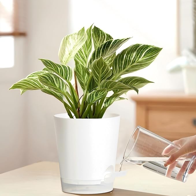 4 Inch 10 Pack Small Self Watering Pots for Indoor Plants, Nursery Pot with Drainage Holes and Saucers, Plastic Small Flower Planter for Succulent, Aloe, Cacti and More (White)