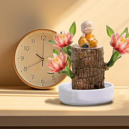 Brazilian Lucky Wood Kit with Monk, Grow Your Own Luck,Easy to Maintain Mini Brazil Woods for Indoor/Outdoor, Bedroom, Kitchen, Office Desk, Garden and Other Decorations (3D)