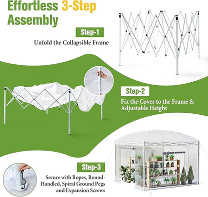 AMERLIFE 10×10×8.5 FT Pop-up Greenhouses for Outdoors Indoor with Adjustable Sturdy Frame, Portable Walk in Greenhouse with 2 Roll-up Zipper Doors, Windows and PE Cover, White