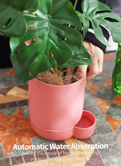 5.5 Inch Ceramic Self Watering Planters with Absorbent Cotton Rope, Cylinder Round Flower Pot for Succulent, Herbs, African Violets, Pink, 1 Pack