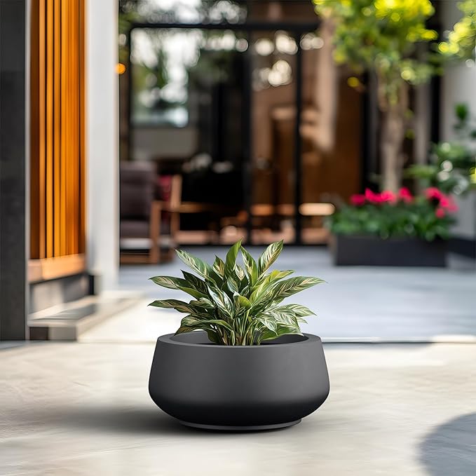 Kante 16.9" Dia Round Concrete Bonsai Planters, Outdoor Indoor Garden Plant Pot with Drainage Hole for Home, Patio, Garden, Black