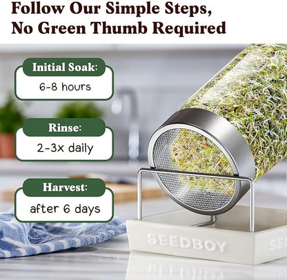 Seedboy Organic Non-GMO Broccoli Seeds for Sprouting - USA Grown Microgreens Sprouting Seeds - 8 oz Bag Makes 8 Quarts / 24 Servings (Di Cicco Broccoli)