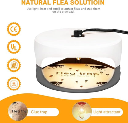 Flea Traps for Inside Your Home 2 Packs, Flea Trap for Indoor, Bed Bug Killer with Sticky Pads & Light Bulb Replacement, Natural Flea Infestation Treatment