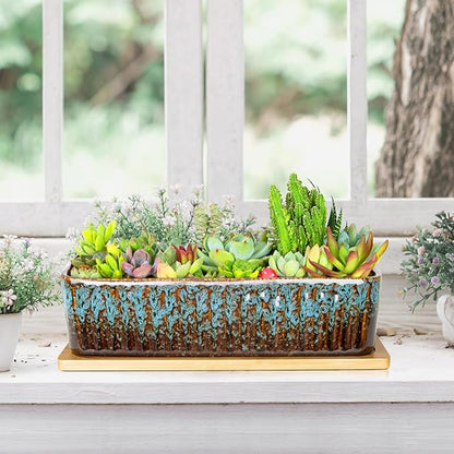 Succulent Pots - 12 Inch Large Succulent Planters with Drainage Tray, Window Sill Planter, Long Rectangle Ceramic Pots for Indoor Cactus Plants Shallow Bonsai Window Box for Home Garden Decor