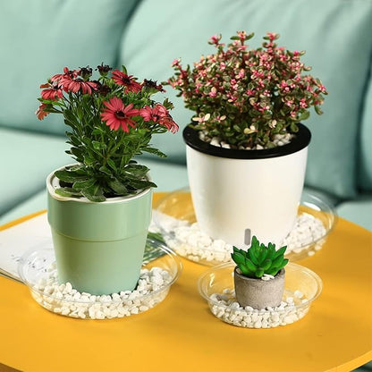 20 Packs 6 Inches Small Clear Plant Saucers for Indoor Outdoor Use Heavy Duty Plastic Plant Trays for Planter Bulk Flower Pot Drip Trays to Catch Water, 4 to 20 Inch