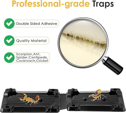 Qualirey 12 Scorpion Glue Tray Traps, Adhesive Scorpion Killer Indoor, Pet and Children Safe, Scorpion Repellent, Insect Traps Indoor, Sticky Bug Catcher for Basement, Bathrooms and Garage