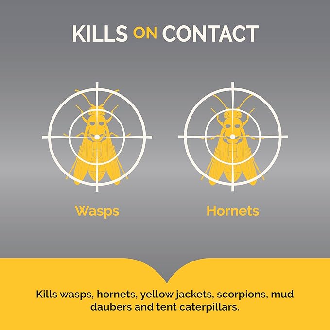 Hot Shot Wasp And Hornet Killer 17.5 Ounces, Bonus Size, Up to 27-Foot Jet Spray, 12 Pack, Black