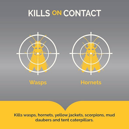 Hot Shot Wasp And Hornet Killer 17.5 Ounces, Bonus Size, Up to 27-Foot Jet Spray, 12 Pack, Black