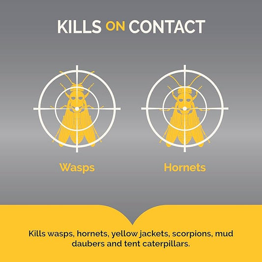 Hot Shot Wasp And Hornet Killer 17.5 Ounces, Bonus Size, Up to 27-Foot Jet Spray, 12 Pack, Black