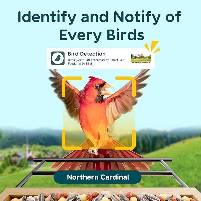 Bird Feeder with Camera Solar Powered, Smart Bird Feeder with AI Identify for 10000 Plus Species, Auto Capture & Real-time Notifications, Ideal Gift for Birdwatching, Bamboo