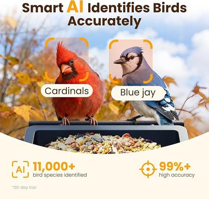 Metal Smart Bird Feeder with Camera, 2.5K UHD Bird Camera AI Identifies 11,000+ Bird's Species, Real-time Bird's Videos & Pictures, Solar Powered Wireless Outdoor, Ideal Gift