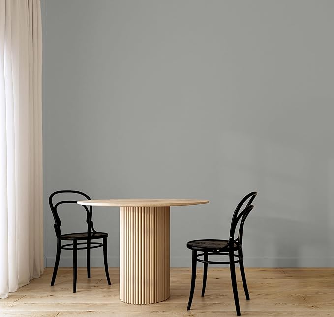 EVOLVE Paint & Primer: Environment-friendly, Low Sheen with One-coat Coverage for Interior & Exterior surfaces (Graphite Gray, 5-Gallon)
