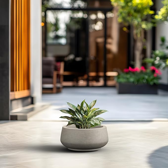 Kante 12.5" Dia Round Concrete Bonsai Planters, Outdoor Indoor Garden Plant Pot with Drainage Hole for Home, Patio, Garden, Weathered Concrete