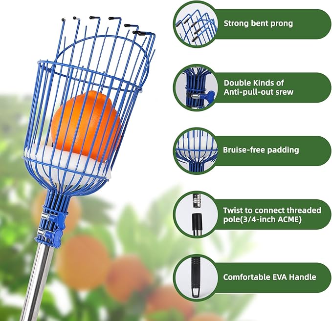 8FT Fruit Picker with Large Basket Telescoping Fruit Picker Pole Foam Padding Prevents Bruising Suitable for Apples Mangoes Pears Oranges Avocados, Blue (Pole Included)