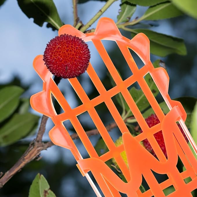 2pcs Fruit Picker Tool Basket Jujube and Pomegranate Harvesting Tool for Garden Telescoping Fruit Catcher for Orchard Use