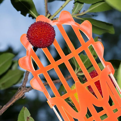 2pcs Fruit Picker Tool Basket Jujube and Pomegranate Harvesting Tool for Garden Telescoping Fruit Catcher for Orchard Use