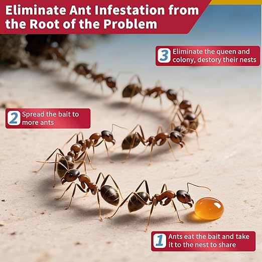 Ready-to-Use Ant Gel Bait, Ant Control for Indoors and Outdoors Use - 1 x 30-Gram Tube