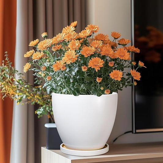 8 Inch Plant Pot - Ceraimc Planter for Indoor Outdoor Plants, Round Flower Pots with Drainage and Tray, House Decor, White