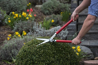 BERGER Professional Lightweight Topiary Hedge Shear, 6.3" Chromium-Plated Blades, Sap Groove to Prevent Sticking, Shock-Absorbing Buffer, Beech Wood Handles, 2520