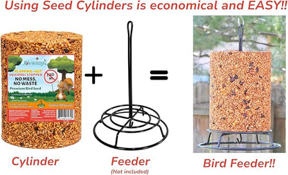 JCs Wildlife Squirrel Stopper No Mess, No Waste Large Cylinder with Hole 4.5lbs (2-Pack)