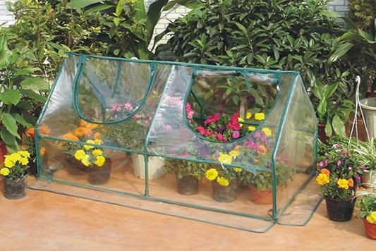 Zenport SH3212A Garden Cold Frame Greenhouse Cloche - 10 Pack